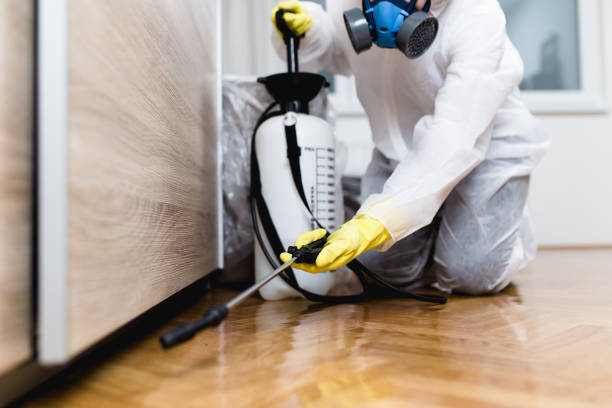 Best Flea Control Services  in Mathis, TX