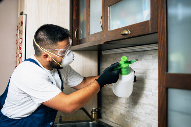 Best Affordable Pest Control Services  in Mathis, TX