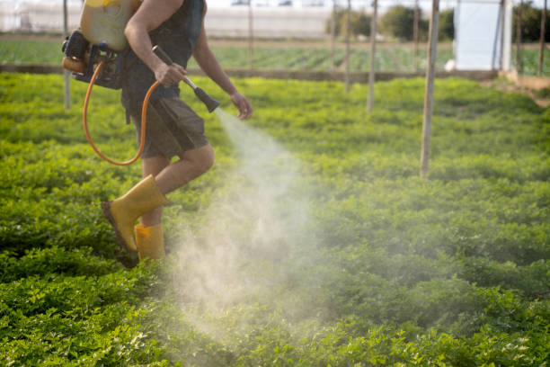 Insect Control in Mathis, TX