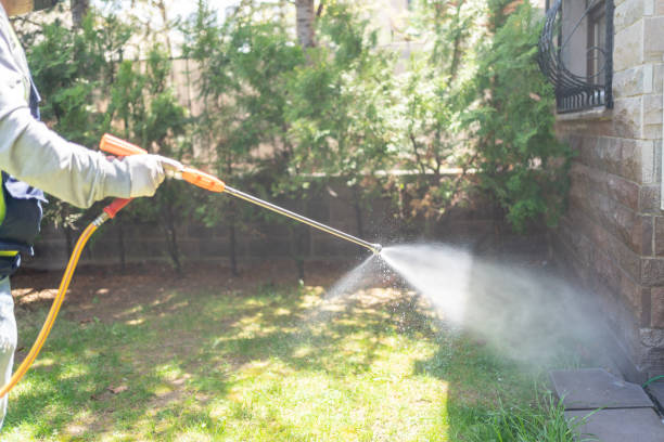 Reliable Mathis, TX Pest Control Solutions